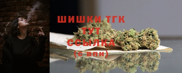 спайс Горняк