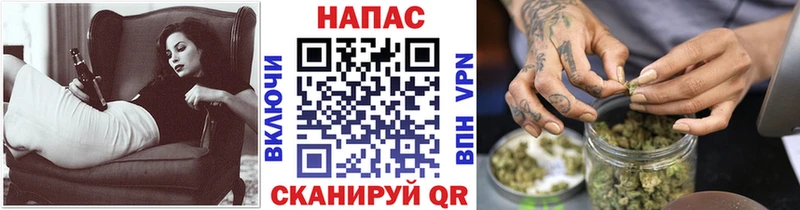 где продают   Серов  Конопля SATIVA & INDICA 